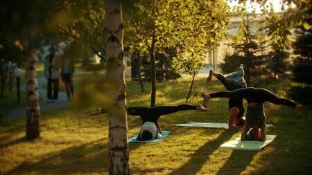 Two young fit women and a man doing yoga in the park near the bright green trees and the walkway - Doing headstandsの写真素材