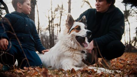 Young man and his little brother petting a pretty dog in autumn park