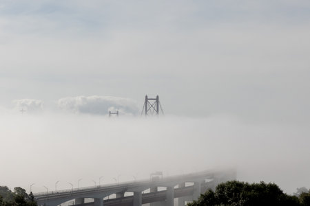Top of the bridge stick out of the thick dense white fogの写真素材