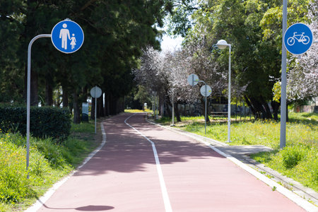 A path in the park - signs indicating the path for a bicycle and a parent with a childの写真素材