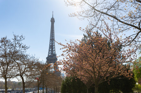 April 4, 2023 Paris, France: Eiffel Tower and trees in the foreground