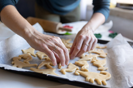 Baking cookies - a woman lays out raw dough in the shape of dinosaurs on a baking sheetの写真素材