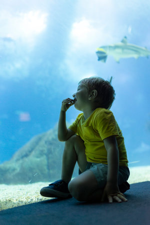 A young boy is sitting on the floor in front of a fish tank - aquarium in oceanariumの写真素材