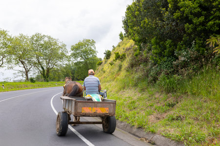 A man is riding a cart with a horse on the roadの写真素材