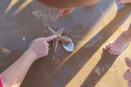 A woman is pointing at a starfish on the beach