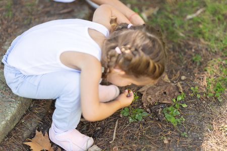 Little girl picking wild strawberries in the forestの写真素材