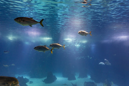Small fishes swim in a huge blue aquarium
