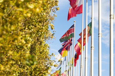 Flags of countries fluttering in the wind next to treesの写真素材