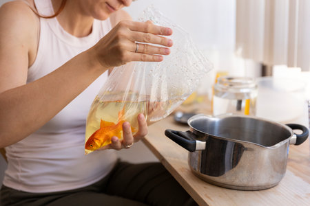 Woman holding plastic bag with goldfish and pot on tableの写真素材