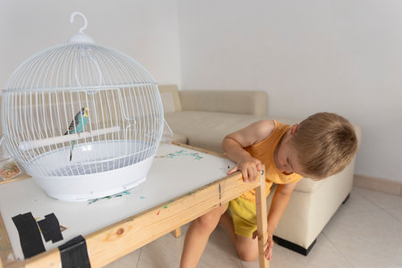 Child observing a small bird in a cage inside a houseの写真素材