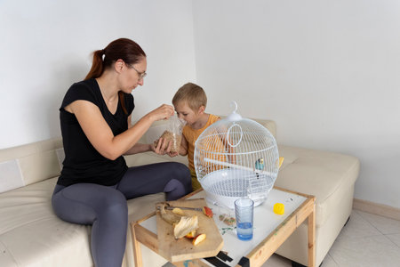 Mother and son feeding pet budgie in living roomの写真素材