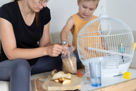Mother and son preparing food for pet budgie bird in cageの写真素材