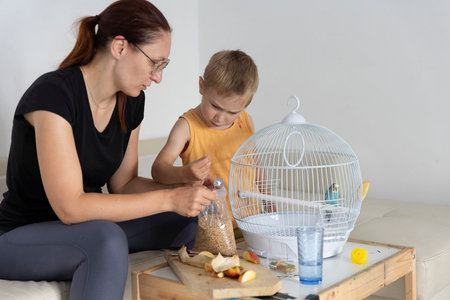 Mother and son feeding pet budgie bird in cage at homeの写真素材