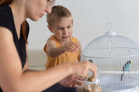 Mother and son feeding a pet budgie in a cage at homeの写真素材