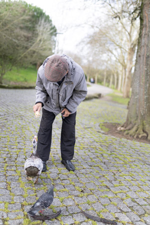 Elderly man feeding birds in a cobblestone parkの写真素材