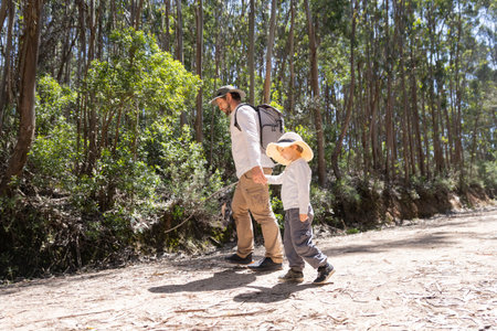 Father and son hiking together in sunny eucalyptus forestの写真素材