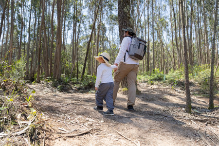 Father and son hiking together in sunny forest trail