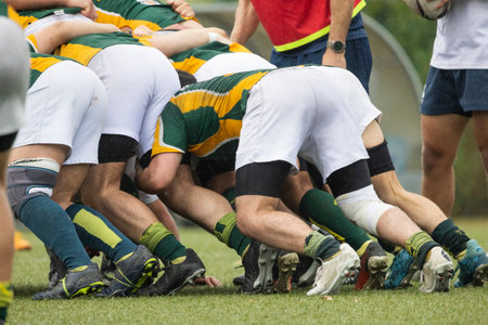 Rugby players pushing in a scrum during a match