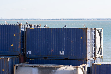 Blue cargo containers ready for loading in the seaportの写真素材