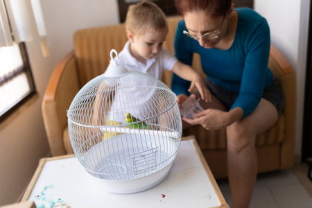 Mother and son caring for pet budgie in white cageの写真素材