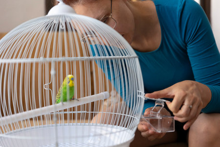 Woman refilling bird feeder in white cage with budgie parrot
