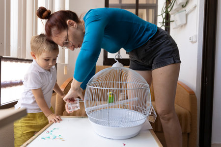 Mother and son changing water in bird cage at homeの写真素材