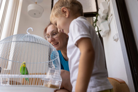 Grandmother and grandson admiring a small parrot in a cageの写真素材