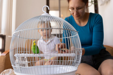 Mother and child feeding a green budgie in a cageの写真素材