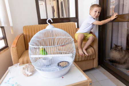 Little boy playing with pets at home: cat watching parrot in cageの写真素材