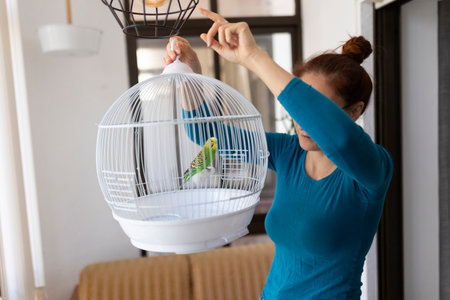 Woman hanging a birdcage with a budgie parrot at homeの写真素材