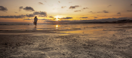 Woman walking on the beach at sunset with cloudy sky