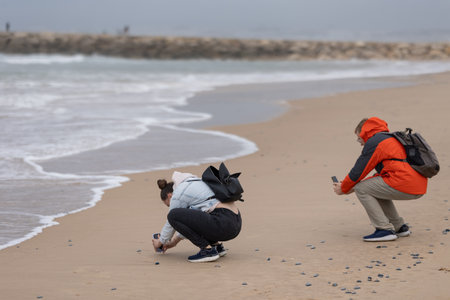 Young people photographing small shells on sandy beachの写真素材