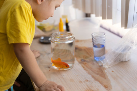 Young boy watching goldfish in glass jarの写真素材