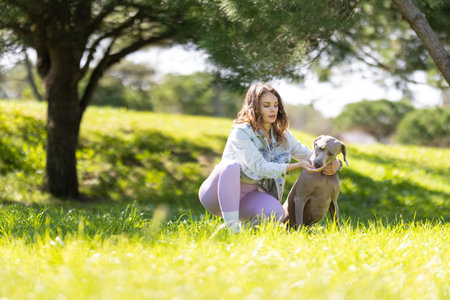 Young woman bonding with her weimaraner dog outdoors