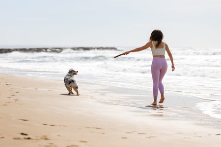 Woman playing with dog on sandy beachの写真素材