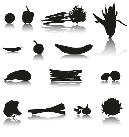 Set of 14 Silhouette vector vegetables with shadow  Tomato, paprika, carrots, chilli, cucumber, onion, corn, mushroom, asparagus, eggplant, garlic, broccoli, leek and artichoke のイラスト素材