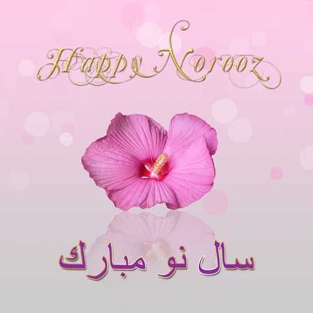 Noble, elegant Persian New Year illustration: A pink hibiscus bloom with a new year wish in english and farsi on a bokeh background.の写真素材