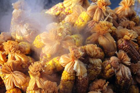 Hot yellow corns の写真素材