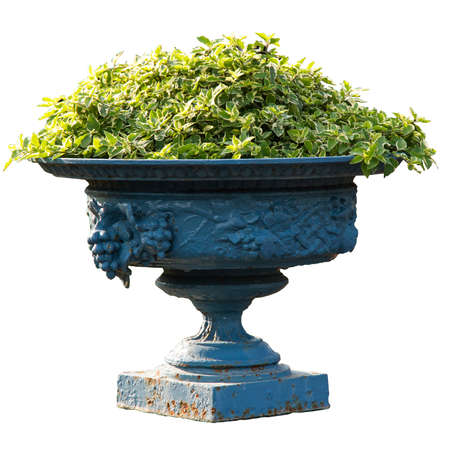 Roman pillars gardening isolated white backgroundの写真素材