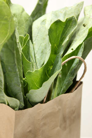 vegetables in paper grocery bag isolated over white