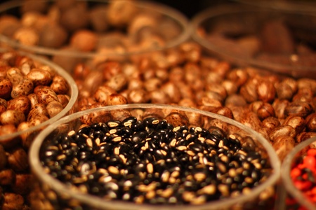 Seed and grainsの素材