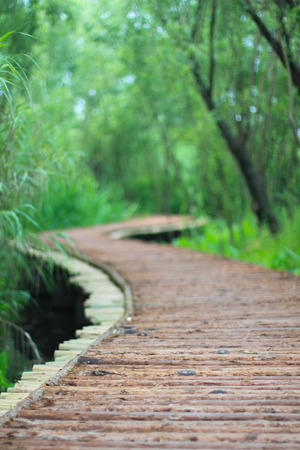 The wood bridge at xixi wetland hangzhou chinaの写真素材