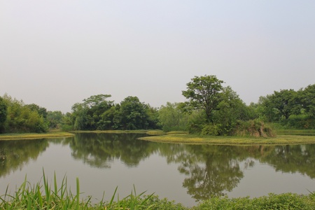 xixi wetlandの素材