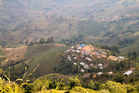 Local village farmer in Doi Mae Salong, Chiang Rai, Thailandの写真素材