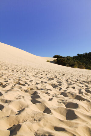 tangalooma sand hill at Tangalooma island, Australiaの写真素材