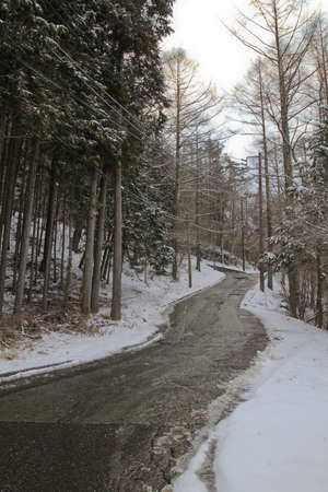 snow cover walkway in Kawaguchiko town, Japanの写真素材