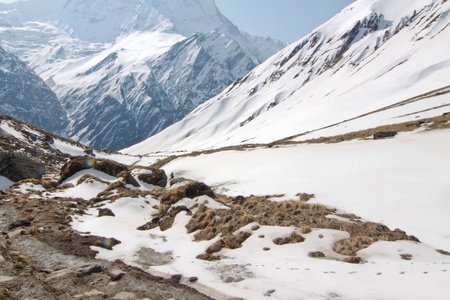 Landscape view Annapurna base campの素材