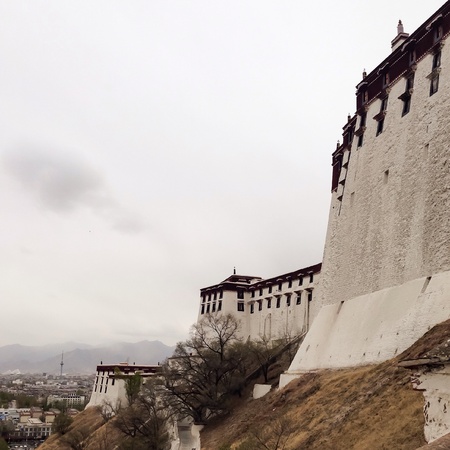 Potala palaceの素材