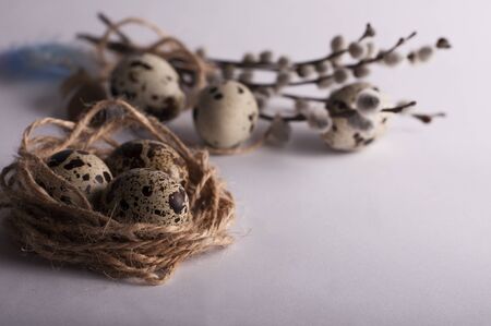 Quail eggs in a nest on a white backgroundの写真素材