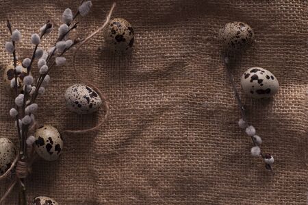 Quail eggs on a textile backgroundの写真素材